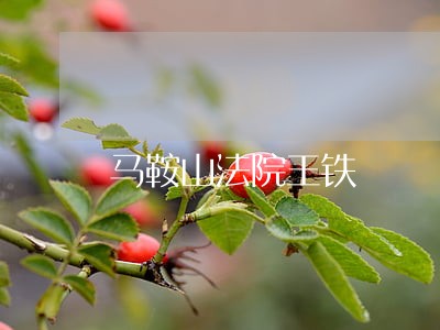 马鞍山法院王铁