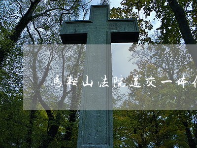 马鞍山法院道交一体化 马鞍山法院道交一体化