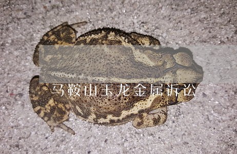 马鞍山玉龙金属诉讼