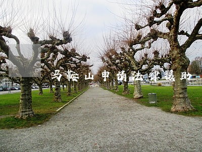 马鞍山申请法律援助 马鞍山申请法律援助
