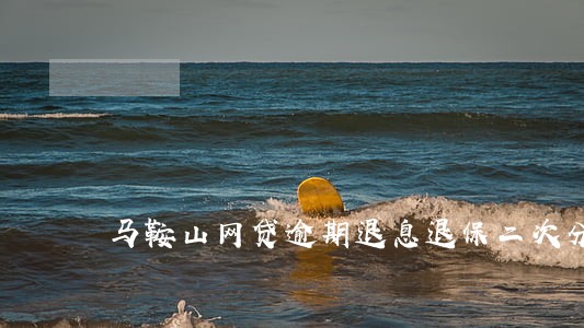 马鞍山网贷逾期退息退保二次分期 马鞍山网贷逾期退息退保二次分期