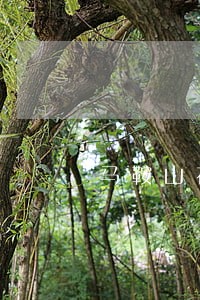 马鞍山花山区人民法院提起诉讼 马鞍山花山区人民法院提起诉讼