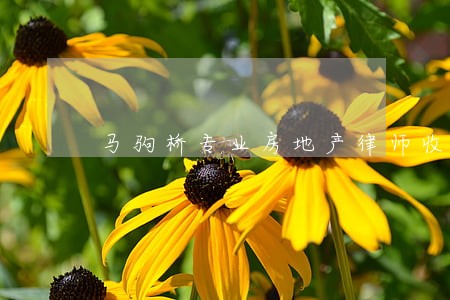 马驹桥专业房地产律师收费 马驹桥专业房地产律师收费