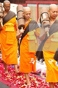 马龙分公司法人 马龙分公司法人
