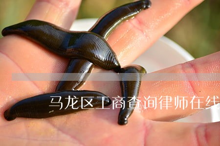 马龙区工商查询律师在线免费咨询 马龙区工商查询律师在线免费咨询