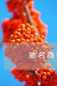 驰名商标认定的现状分析 驰名商标认定的现状分析