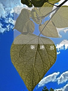 驱逐出境可以行政诉讼吗 驱逐出境可以行政诉讼吗