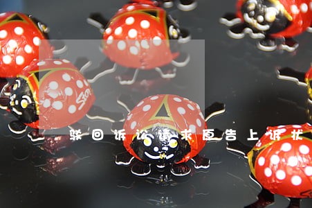 驳回诉讼请求原告上诉状范文