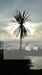 驳回诉讼请求简报范文 驳回诉讼请求简报范文