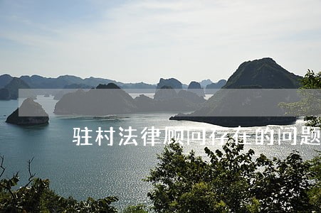 驻村法律顾问存在的问题 驻村法律顾问存在的问题