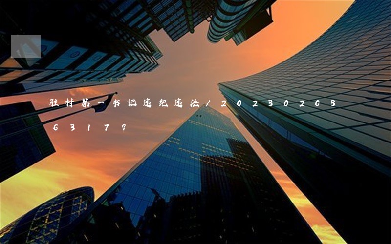 驻村第一书记违纪违法/2023020363179 驻村第一书记违纪违法/2023020363179