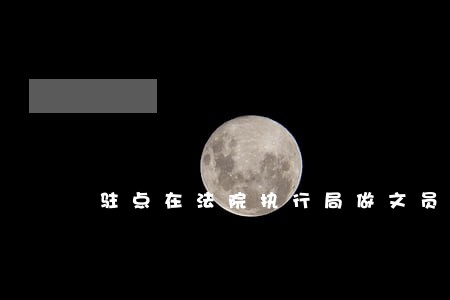 驻点在法院执行局做文员 驻点在法院执行局做文员