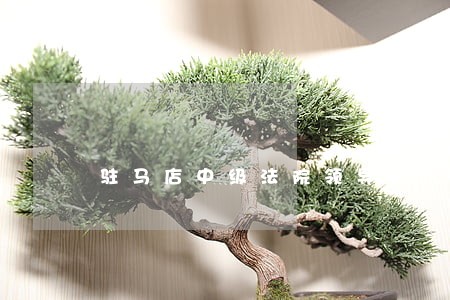 驻马店中级法院领导录