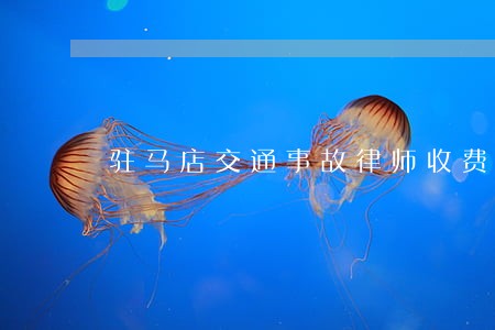 驻马店交通事故律师收费标准