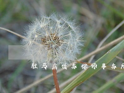 驻马店债务律师事务所 驻马店债务律师事务所
