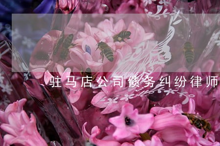 驻马店公司债务纠纷律师 驻马店公司债务纠纷律师