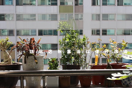 驻马店刑事诉讼律师咨询热线 驻马店刑事诉讼律师咨询热线