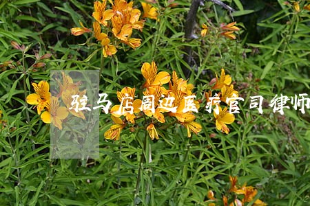 驻马店周边医疗官司律师收费标准 驻马店周边医疗官司律师收费标准