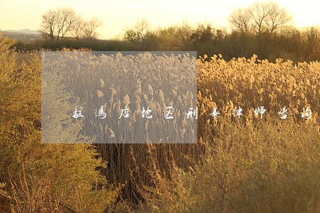 驻马店地区刑事律师咨询热线 驻马店地区刑事律师咨询热线