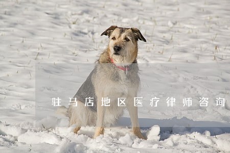 驻马店地区医疗律师咨询电话 驻马店地区医疗律师咨询电话
