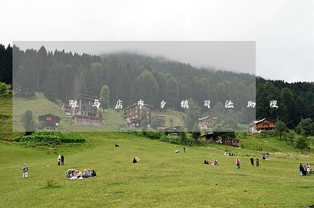 驻马店市乡镇司法助理 驻马店市乡镇司法助理