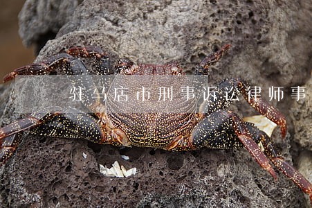 驻马店市刑事诉讼律师事务所 驻马店市刑事诉讼律师事务所