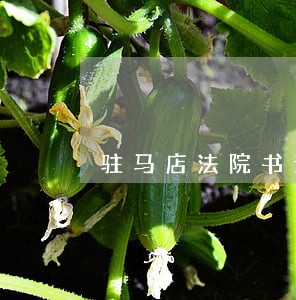 驻马店法院书记员待遇 驻马店法院书记员待遇