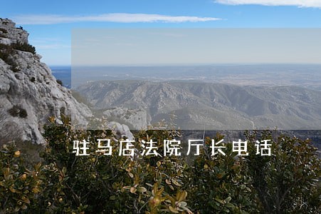 驻马店法院厅长电话