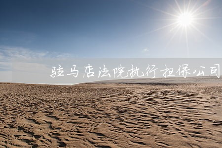 驻马店法院执行担保公司名单