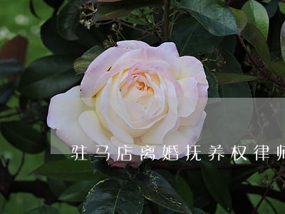 驻马店离婚抚养权律师推荐