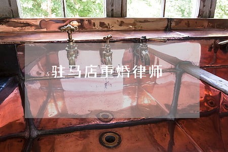 驻马店重婚律师