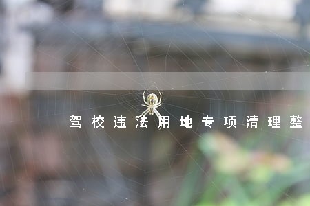 驾校违法用地专项清理整治行动