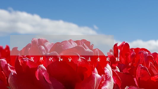 驾照代扣分违法查处难 驾照代扣分违法查处难