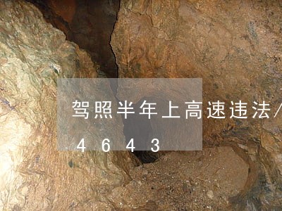 驾照半年上高速违法/2023020444643 驾照半年上高速违法/2023020444643