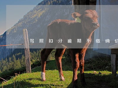 驾照扣分逾期不缴纳信用 驾照扣分逾期不缴纳信用