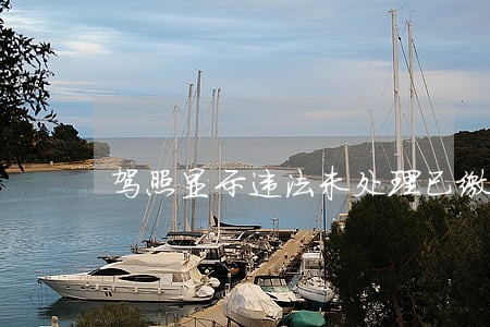 驾照显示违法未处理已缴款 驾照显示违法未处理已缴款
