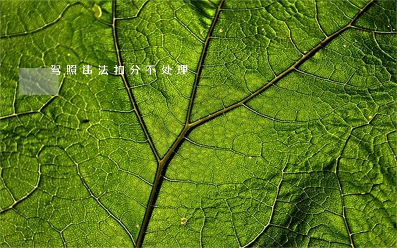 驾照违法扣分不处理 驾照违法扣分不处理