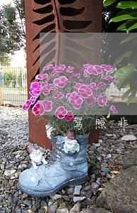 驾照非现场违法查询 驾照非现场违法查询