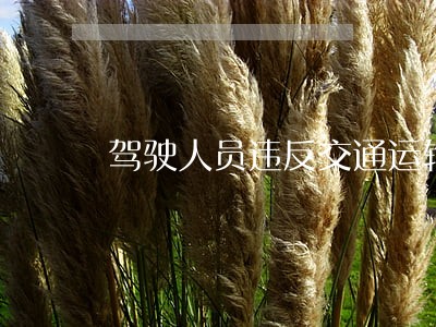 驾驶人员违反交通运输管理法规