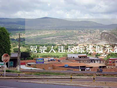 驾驶人违反标线指示的违法行为