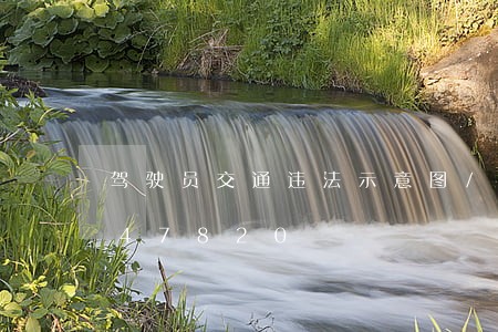 驾驶员交通违法示意图/2023012747820