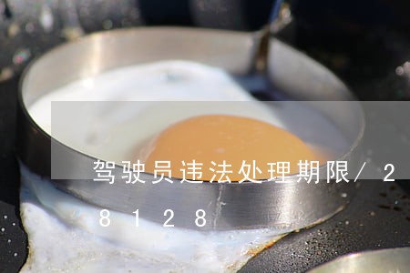 驾驶员违法处理期限/2023020618128 驾驶员违法处理期限/2023020618128