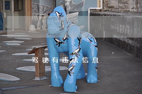 驾驶有违法信息