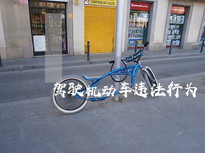 驾驶机动车违法行为