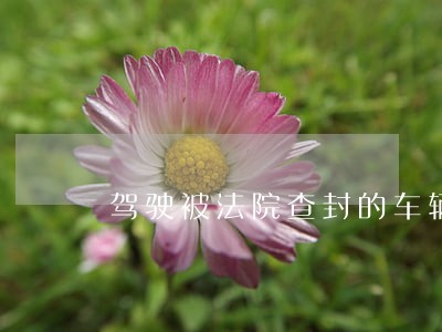 驾驶被法院查封的车辆 驾驶被法院查封的车辆