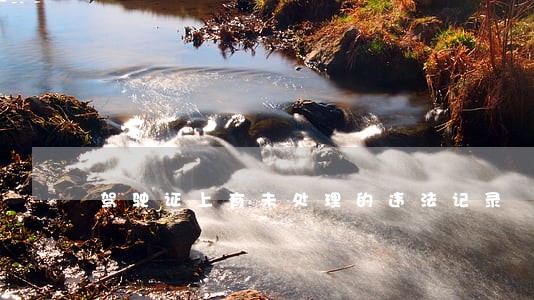 驾驶证上有未处理的违法记录 驾驶证上有未处理的违法记录