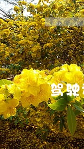 驾驶证不服算不算违法 驾驶证不服算不算违法