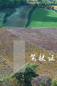 驾驶证业务咨询电话号码