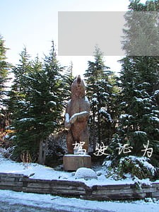 驾驶证为什么会有违法记录 驾驶证为什么会有违法记录