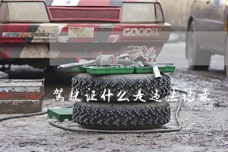 驾驶证什么是违法记录 驾驶证什么是违法记录